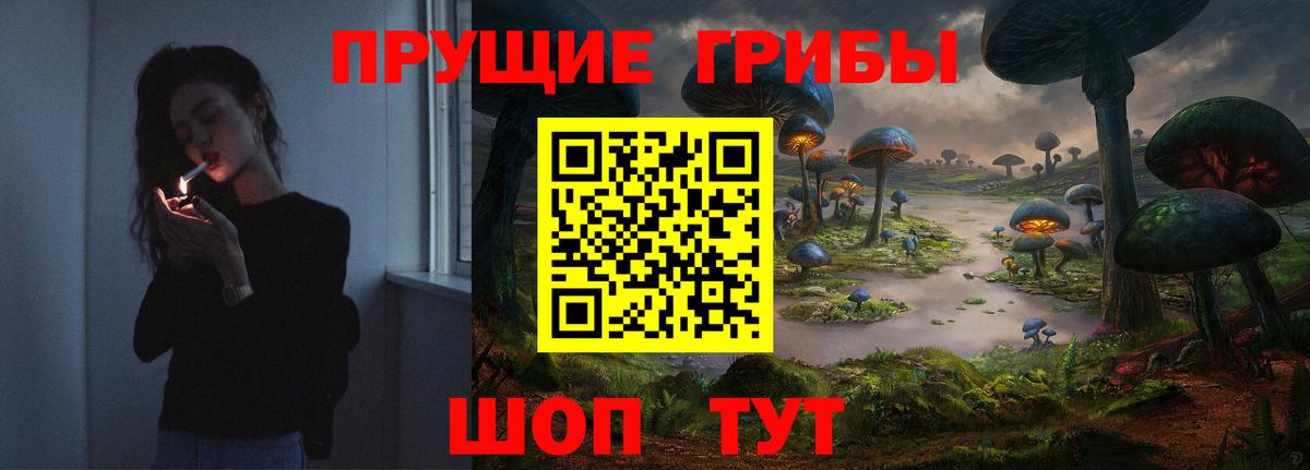 Псилоцибиновые грибы Magic Shrooms  Галлюциногенные грибы GOLDEN TEACHER  Шатура  Вход с VPN 
