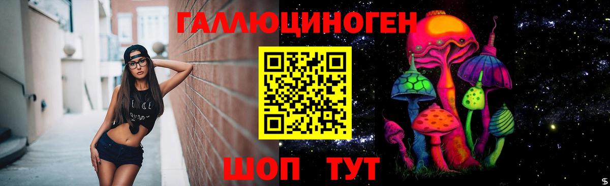 Псилоцибиновые грибы Psilocybe Шатура